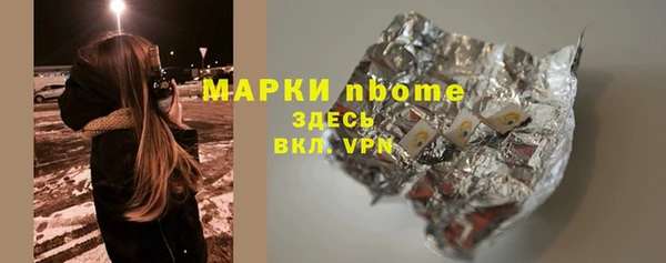 хмурый Алзамай