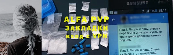 хмурый Алзамай
