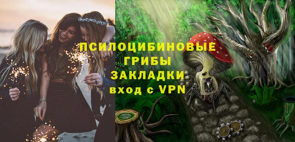 хмурый Алзамай