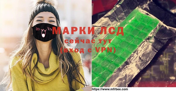 хмурый Алзамай