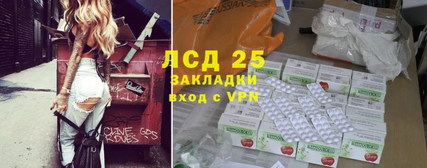 хмурый Алзамай