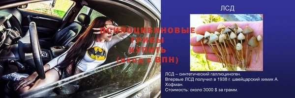 хмурый Алзамай