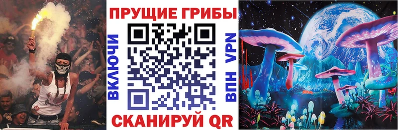 кракен маркетплейс Кимры Псилоцибиновые грибы Magic Shrooms
